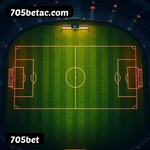 Níveis do programa VIP da 705bet